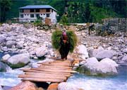 Crossing Bridge, Manali
